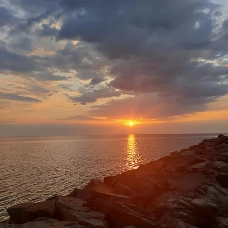 بيت ضيافة Al Mare